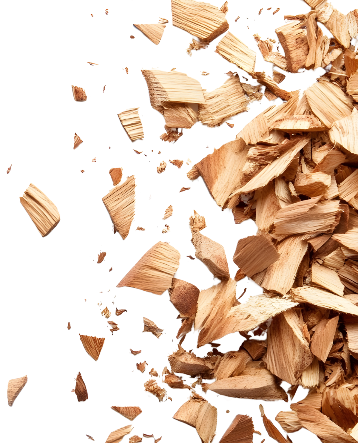 Wood Chips Image