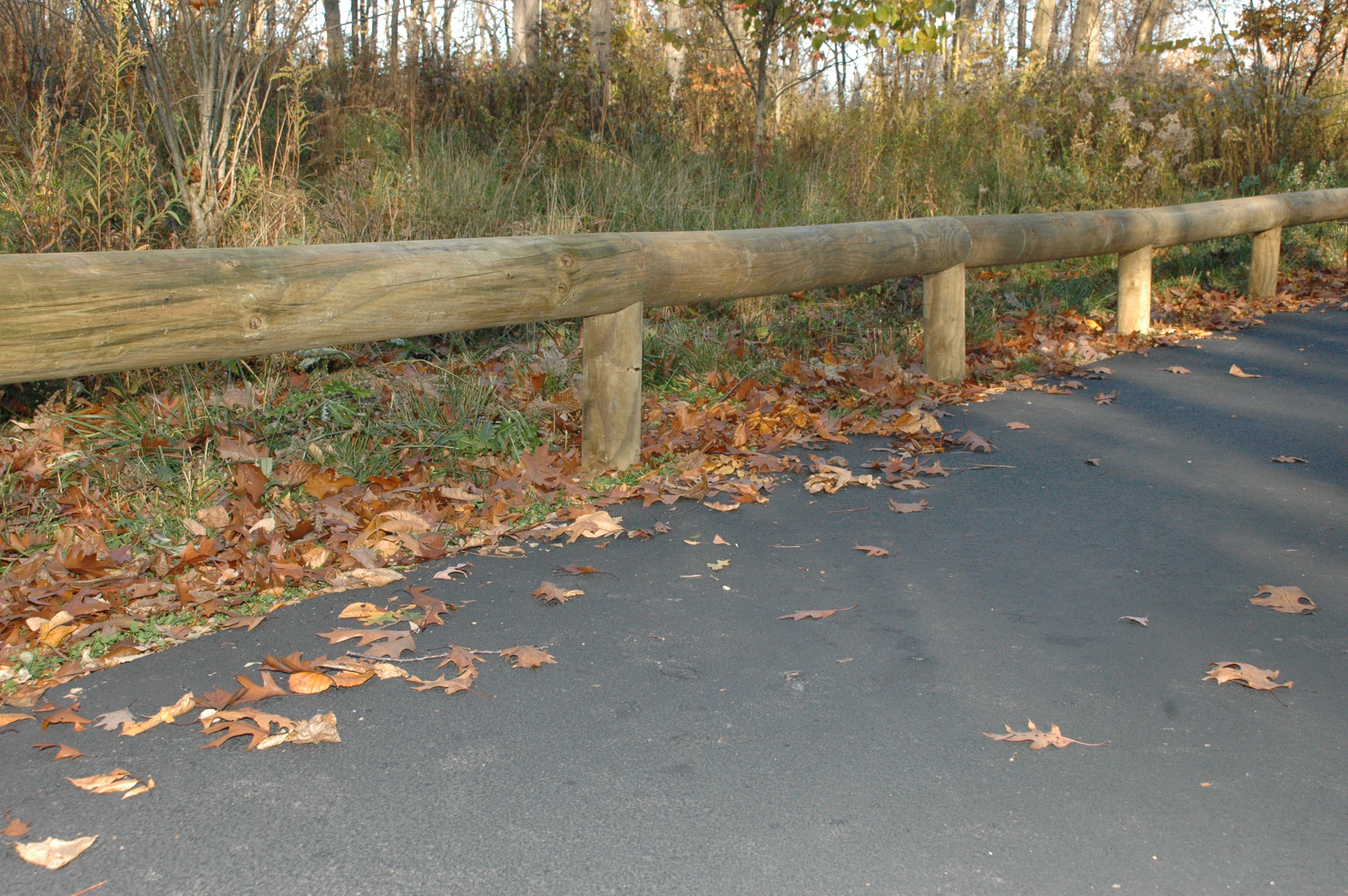Log Rail