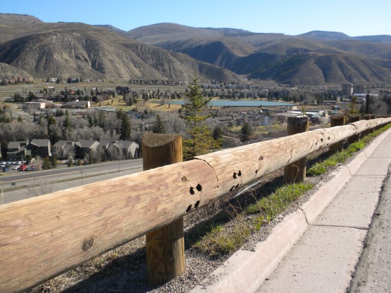 Steel Backed Log Rail