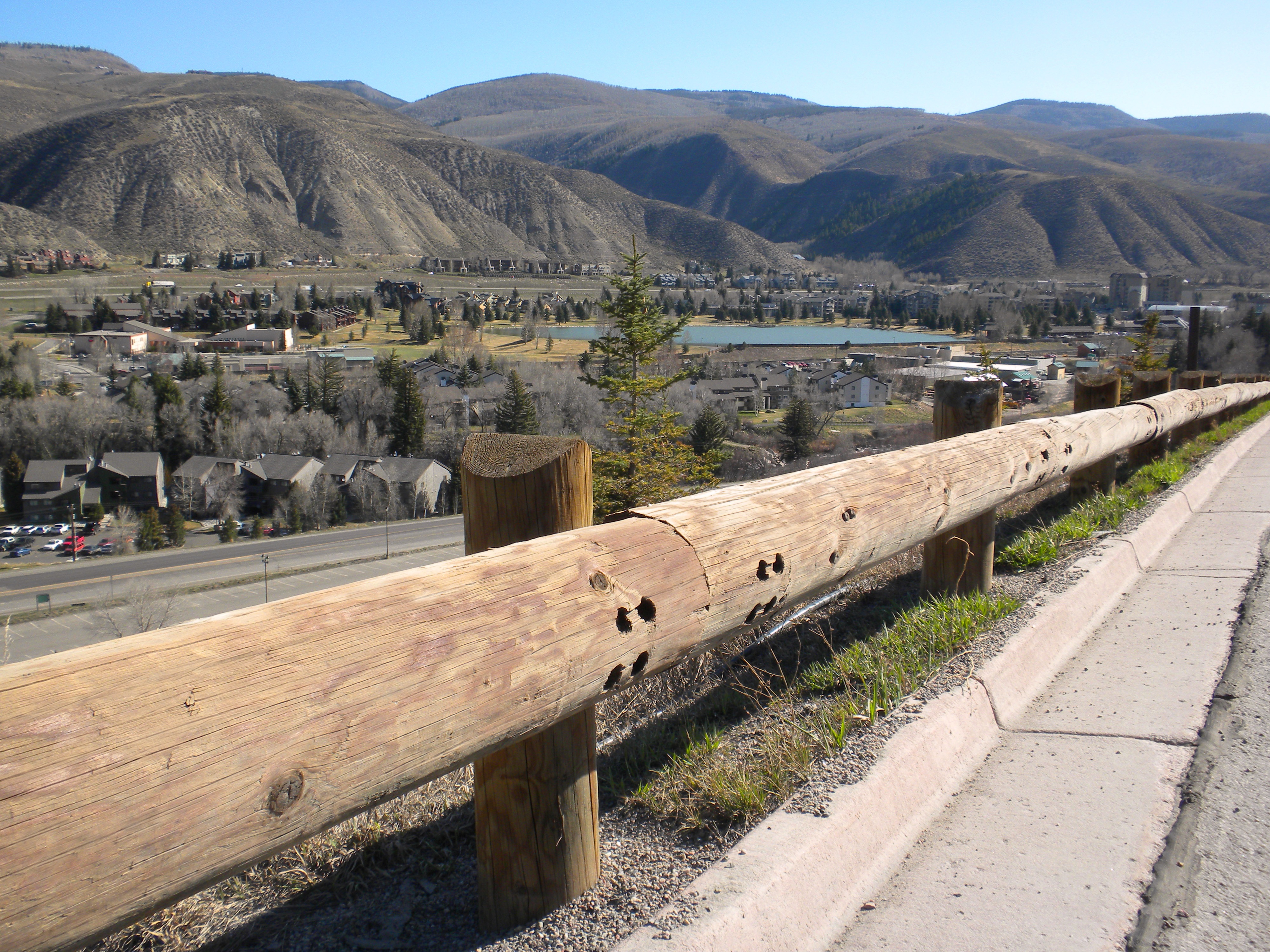 Steel-Backed Timber Rail and Log Rail