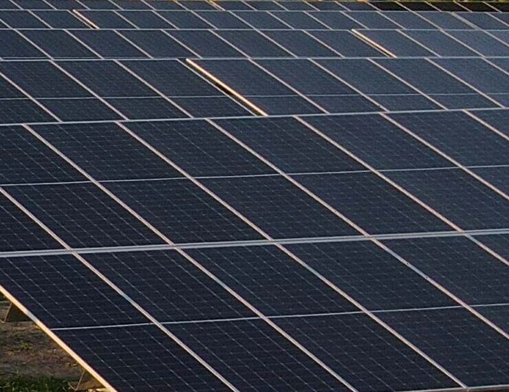 Solar Field Fencing