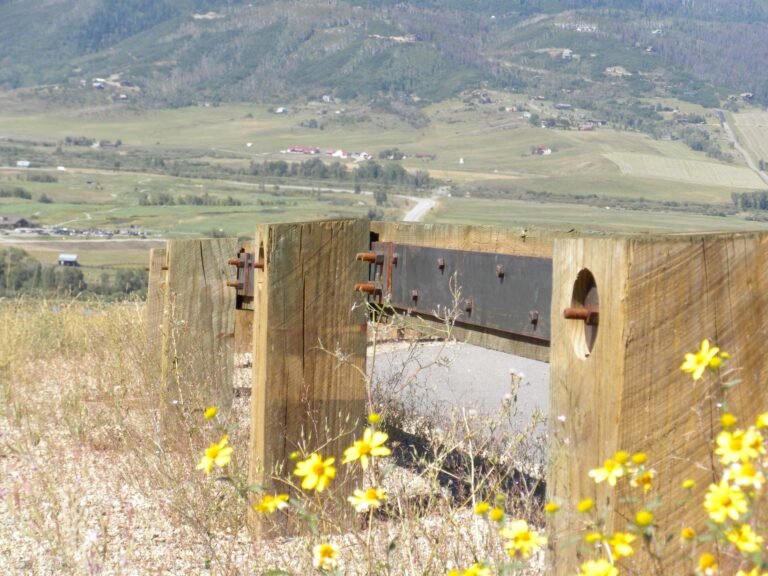 Steel Backed Timber Rail from American Timber & Steel